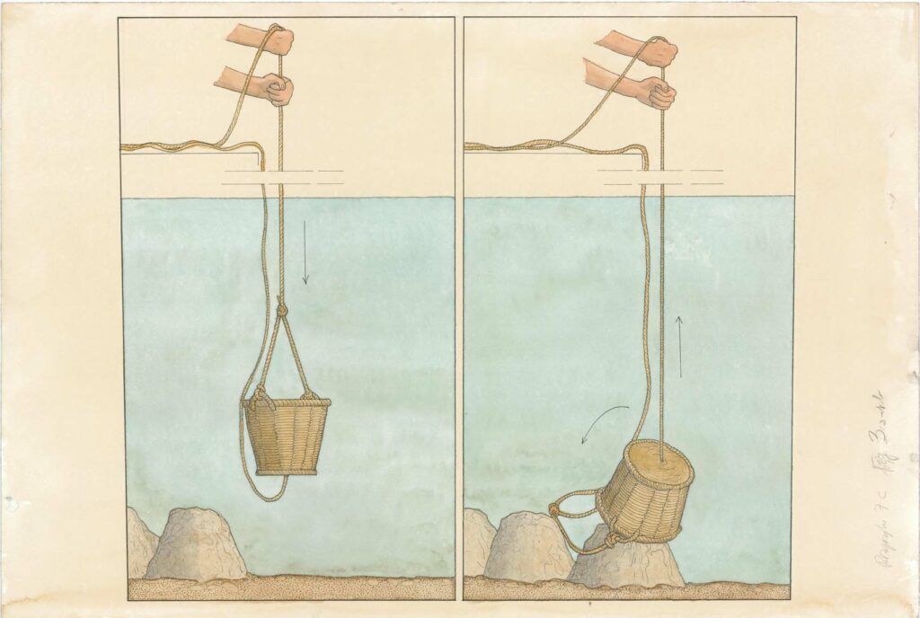 Dessin - La descente des paniers