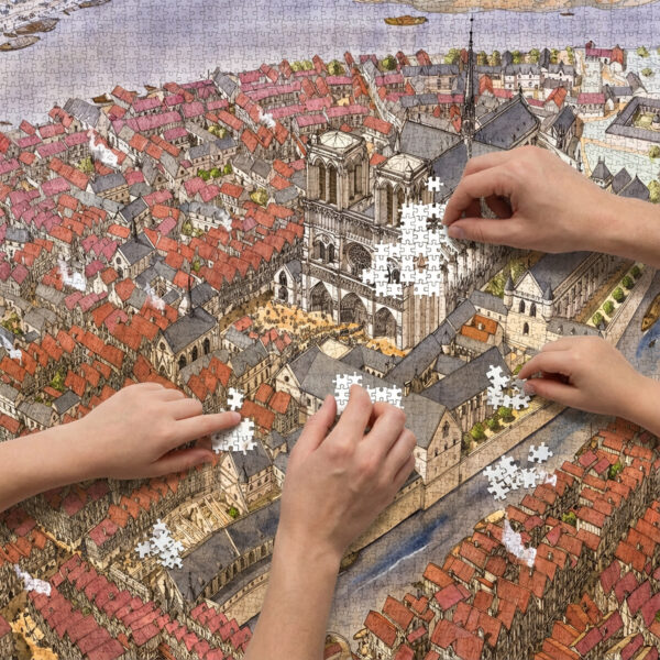 Puzzle 1000 pièces "Notre-Dame sur l'île de la Cité"